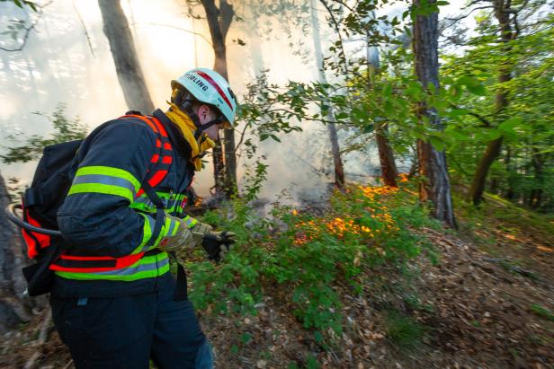 Waldbrand-Inferno auf der Rax: Was die Feuerwehr daraus gelernt hat