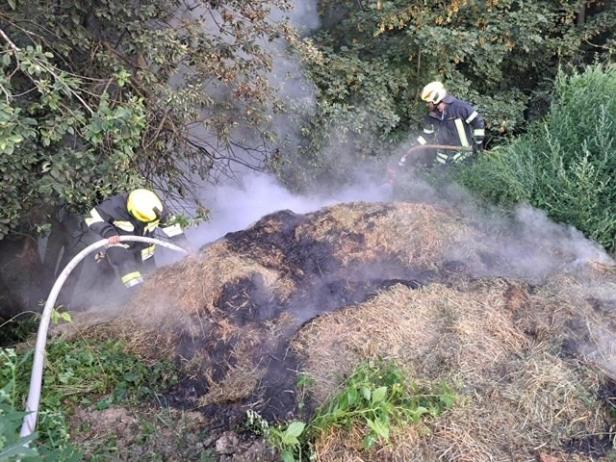 Heu und Wurzelwerk fingen Feuer: Flurbrand konnte verhindert werden