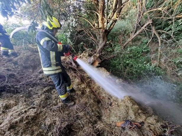 Heu und Wurzelwerk fingen Feuer: Flurbrand konnte verhindert werden