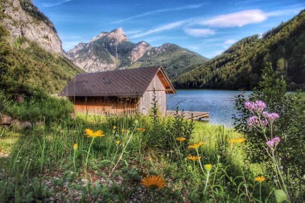 Eine Blumenwiese vorm See. Eine Holzhütter und dahinter die Berge. So sieht Idylle in der Steiermark aus.