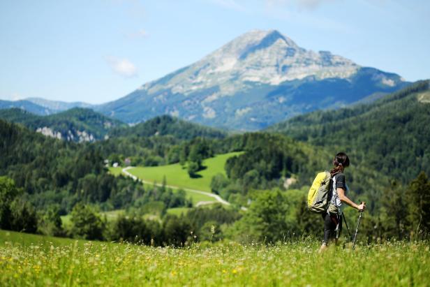 Eine Frau wandert mit Rucksack und Wanderstöcken in einer grünen Landschaft.