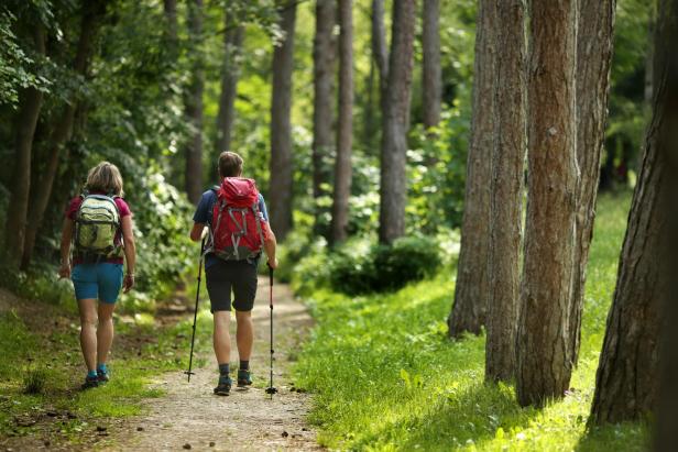 Zwei Wanderer mit Rucksäcken und Stöcken gehen durch einen Wald.