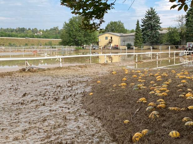 Erneut schwere Unwetter in Hollabrunn: Aufräumen nach den Aufräumarbeiten