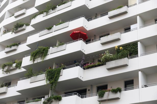 Wohnbau, Wohnhaus, Wohungen, Immobilien