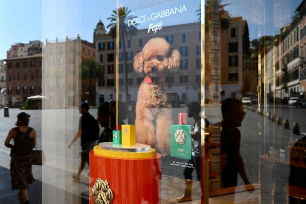 Hundeparfum von Dolce & Gabbana.