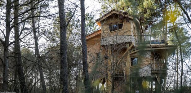 Ein hölzernes Baumhaus inmitten eines Waldes.