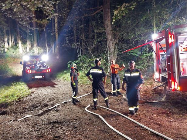 Nach Blitzschlag: Stundenlanger Einsatz bei Waldbrand im Bezirk Baden