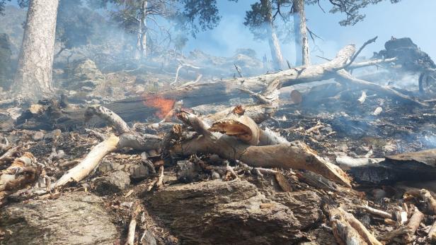 Alarm auf Korsika: Feuerwehrleute aus NÖ bekämpfen Waldbrände