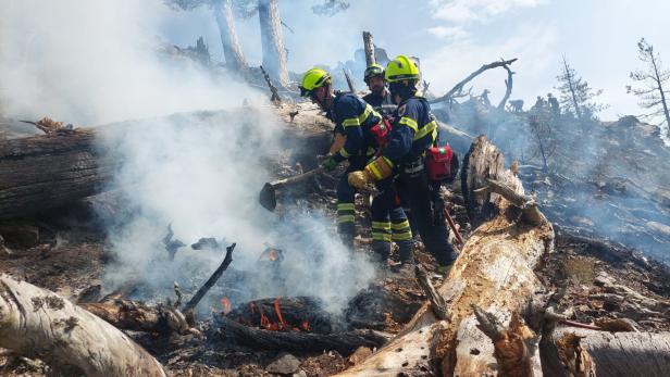 Alarm auf Korsika: Feuerwehrleute aus NÖ bekämpfen Waldbrände