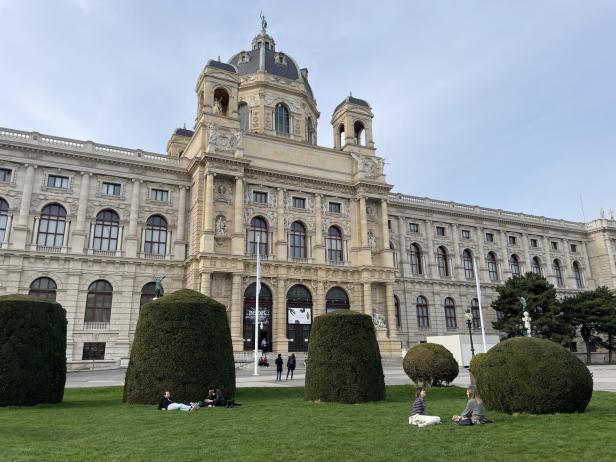 Naturhistorisches Museum retourniert 846-teilige Fossilsammlung