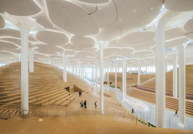 Das Innere einer modernen Bibliothek mit holzverkleideten Stufen und einem dekorativen Deckensystem.