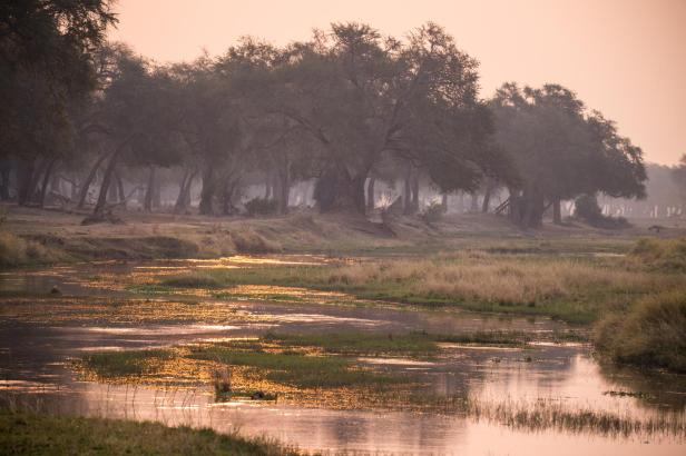 Mana Pools in Simbabwe