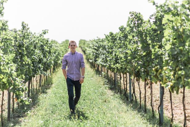 Weinernte in Österreich: „Qualitativ schaut es sehr gut aus“