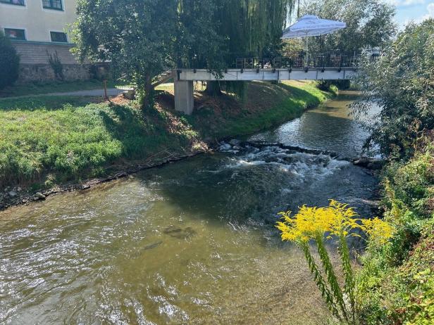 Bub mit Kinderwagen in Fluss gestürzt: So glückte die Lebensrettung