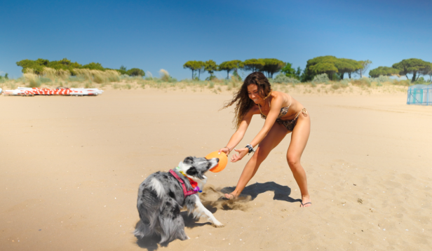 Eine Frau spielt mit ihrem Hund am Strand mit einer Frisbeescheibe.