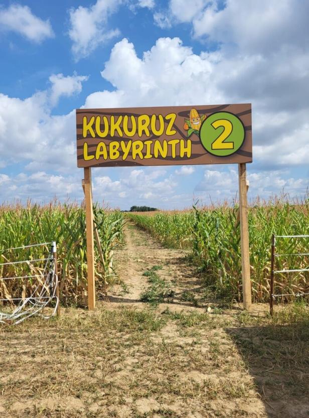 2,5 Stunden im größten Maislabyrinth Österreichs