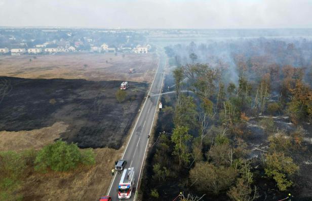 Waldbrand bei Gänserndorf: Löscharbeiten immer noch im Gange