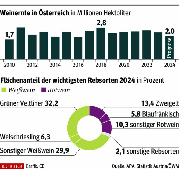 Blitzernte im Wiener Backofen: Wie ein Top-Winzer mit der Hitze kämpft