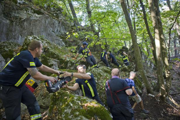 NÖ: Hund "Spotty" nach 50 Stunden Suche aus Felshöhle gerettet