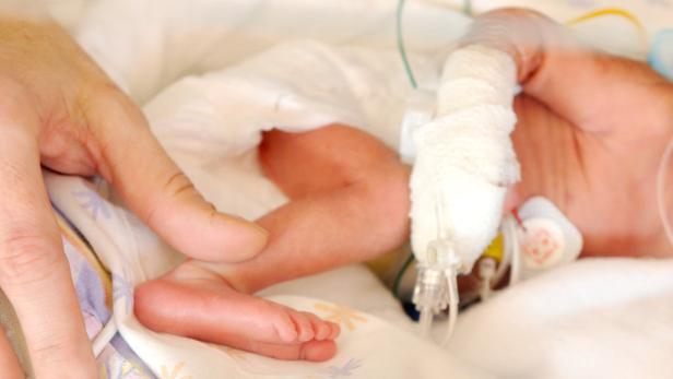 Bilder: Eine Handvoll Leben