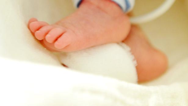 Bilder: Eine Handvoll Leben