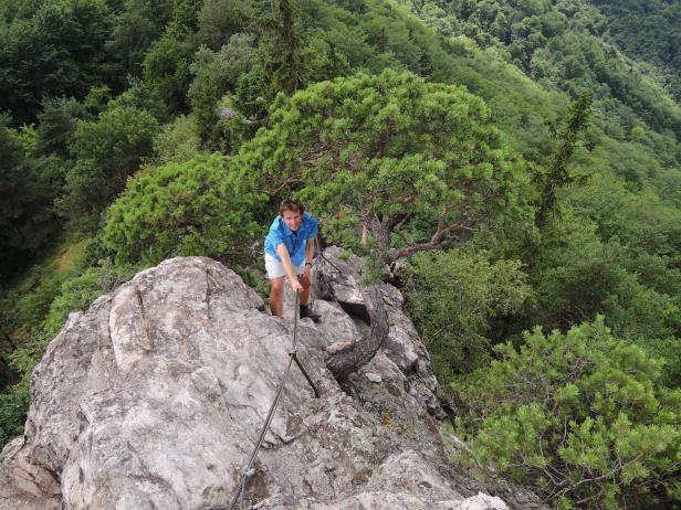 Hirschwand im Dunkelsteinerwald