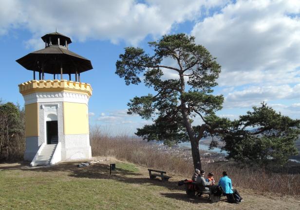 Wandern in der Wachau: 5 Aussichtspunkte zwischen Spitz und Krems