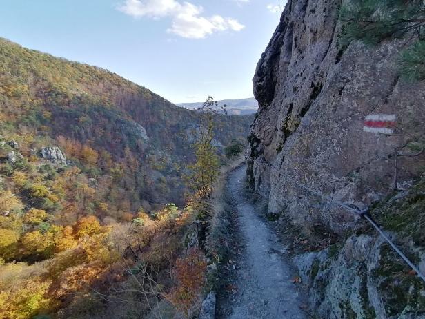 Wandern in der Wachau: 5 Aussichtspunkte zwischen Spitz und Krems