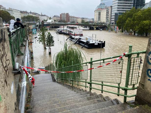 "Land unter" in Wien: Wienfluss rauscht "unentschärft" durch die Stadt