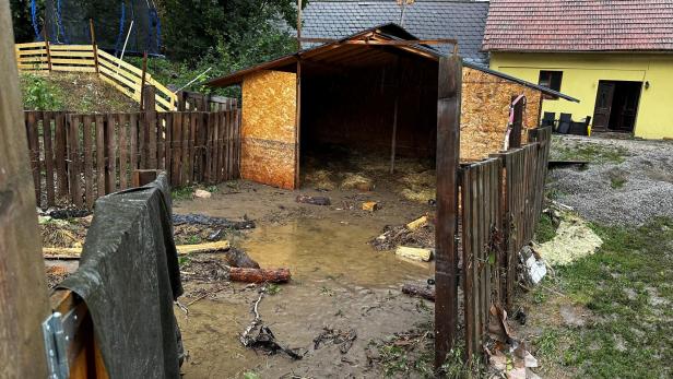 "Nur ein Wunder kann uns retten": Tier-Gnadenhof vom Hochwasser verwüstet