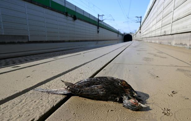 Nach Hochwasser: Westbahnstrecke in NÖ schwer in Mitleidenschaft gezogen