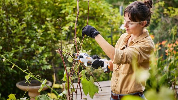 Fit für den Herbst: Bereite deinen Garten jetzt für die kalte Jahreszeit vor