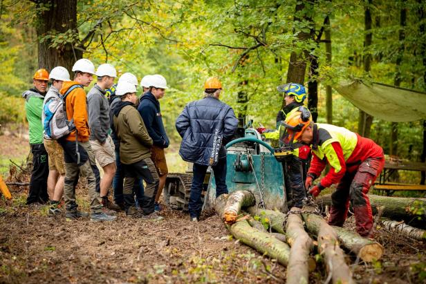 So wird im Wald nachhaltig und dennoch mit Profit gearbeitet