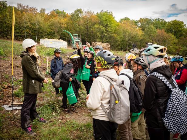 So wird im Wald nachhaltig und dennoch mit Profit gearbeitet