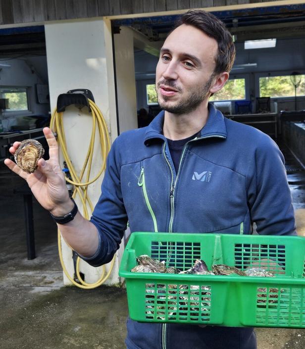 Damien Struillou, Austernzüchter in Moëlan Sur Mer