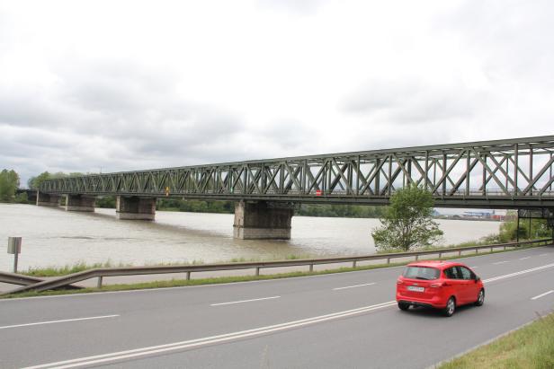 Fledermaus und Mittelspecht versetzen neuer Donaubrücke schweren Dämpfer