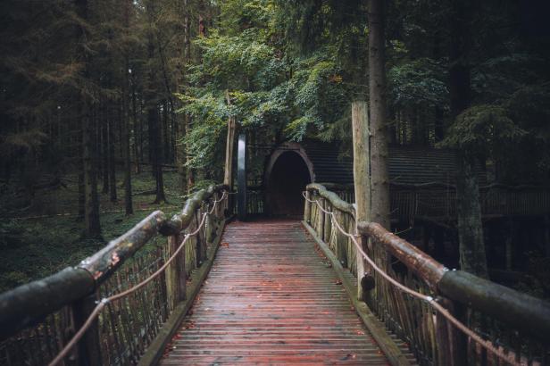 Eine Holzbrücke führt zu einem dunklen Tunnel in einem dichten Wald.