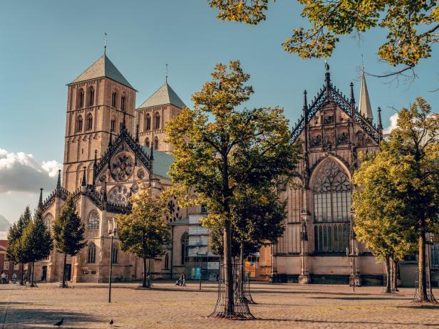 Der St.-Paulus-Dom in Münster mit Bäumen im Vordergrund.