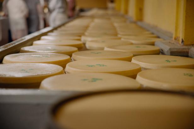 Wo Pasta und Pesto herkommen: Ein Tag in der Barilla-Fabrik in Parma