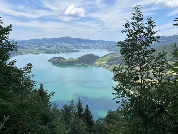 Blick durch Bäume auf einen türkisfarbenen See und grüne Hügel unter einem bewölkten Himmel.