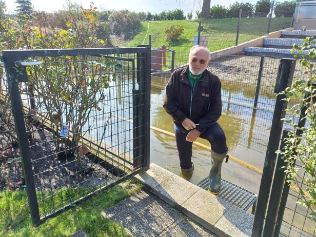 Grundwasser flutet Häuser in Oberzögersdorf (NÖ): "Niemand hilft uns"