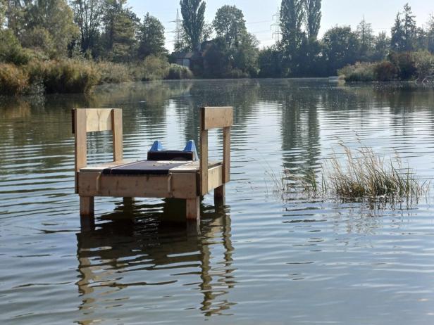 Grundwasser flutet Häuser in Oberzögersdorf (NÖ): "Niemand hilft uns"