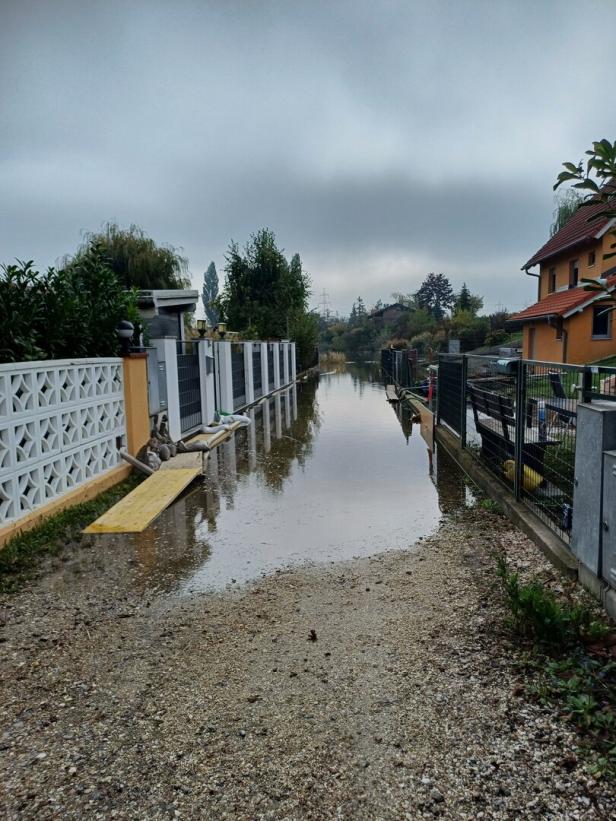 Grundwasser flutet Häuser in Oberzögersdorf (NÖ): "Niemand hilft uns"