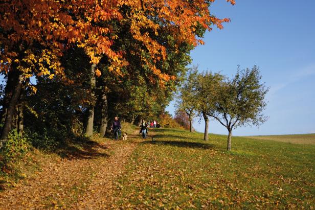 Eine Gruppe von Menschen wandert im Herbst durch eine Landschaft mit bunten Bäumen.