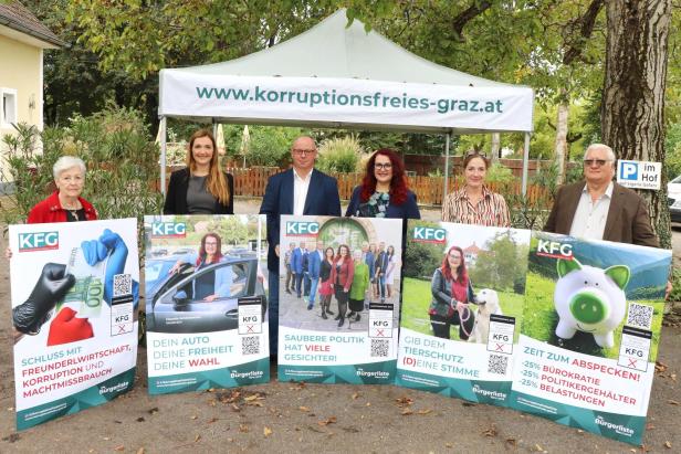 Blaue Plakatwelle vor den Landtagswahlen: Was die FPÖ plant