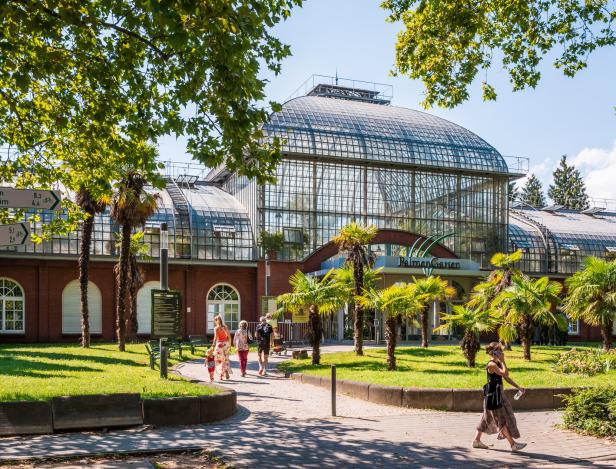 Besucher flanieren vor dem Palmenhaus im Palmengarten Frankfurt.