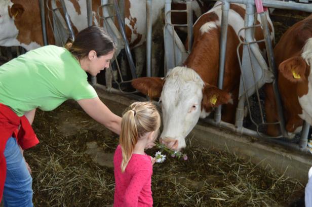 Frauen in der Landwirtschaft: "Bäuerinnen reden nicht viel, sondern machen"