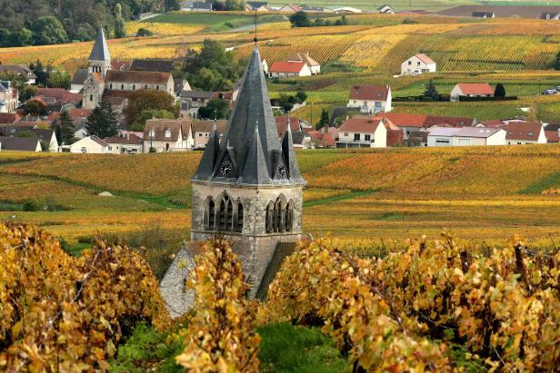 Herbstliche Landschaft mit Weinbergen, Häusern und Kirchen.