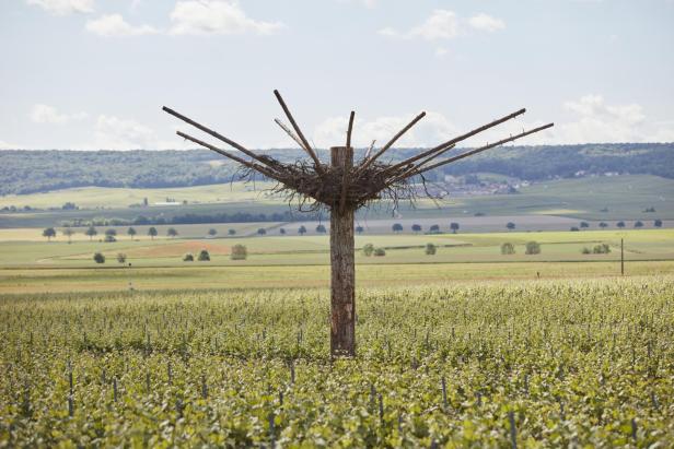 Eine Kunstinstallation, die wie ein Storchennest aussieht mitten in den Weinbergen.