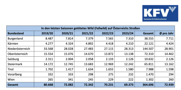 73.000 Wildunfälle pro Jahr: Vor allem ein Bundesland ist betroffen